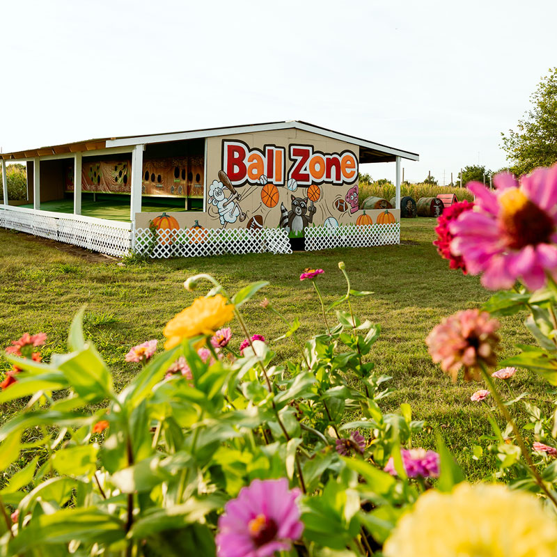 Pumpkin Patch Tulsa Barnyard Ball Zone
