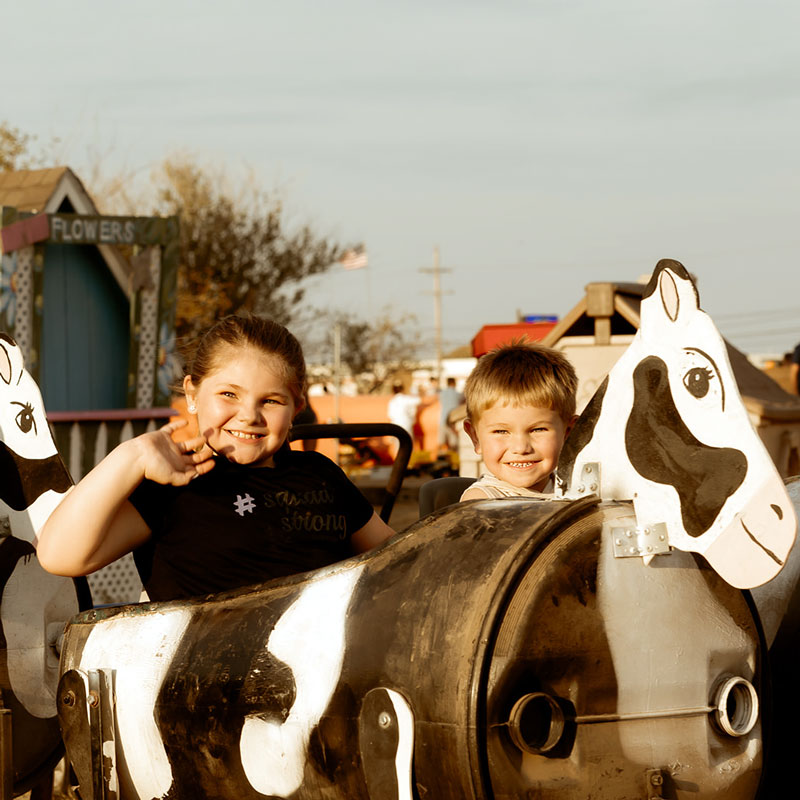 Pumpkin Patch Tulsa Hank The Tank