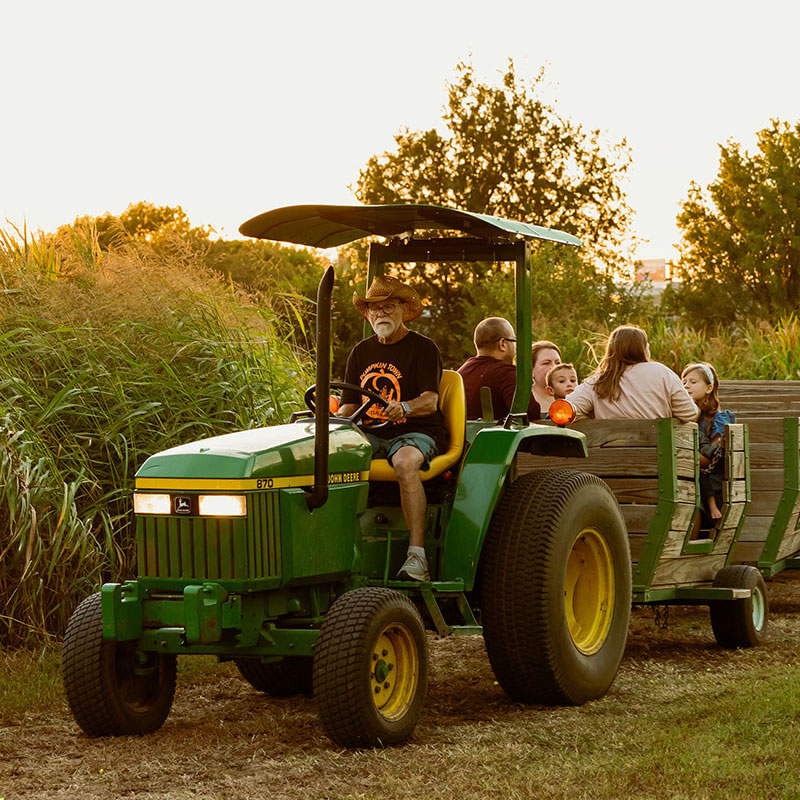 Pumpkin Patch Tulsa Grain Train